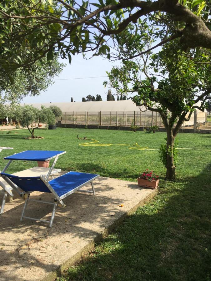 Villa Daniele Borgo Montenero Zewnętrze zdjęcie